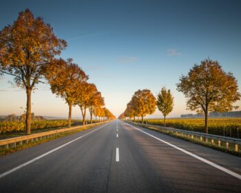 silnice, dálnice, stromy, asfalt