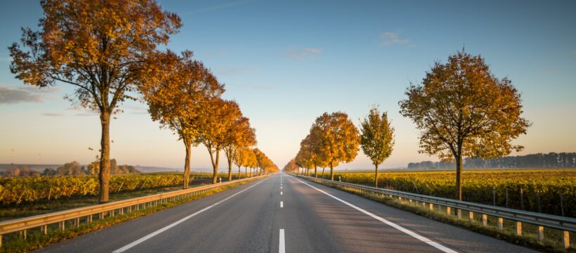 silnice, dálnice, stromy, asfalt