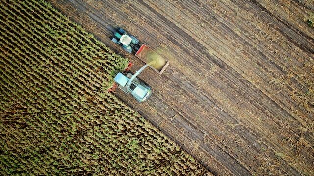 zemědělství, agriculture