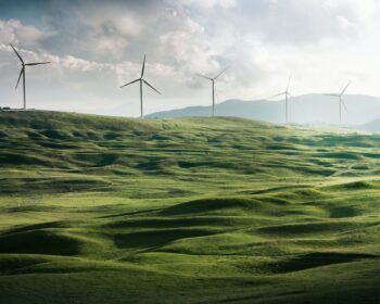 Web chytra-energie.cz zdobí primárně černo-zelené odstíny a právě “energie zelené barvy” se propisuje do majoritní části obsahu zpráv a článků na webu. 